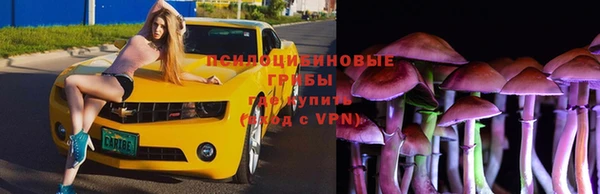 дурь Касимов