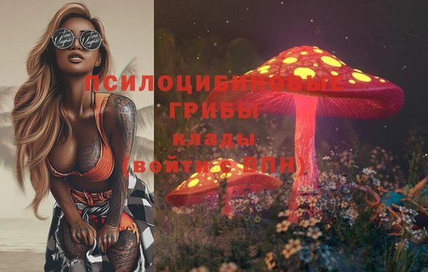 дурь Касимов