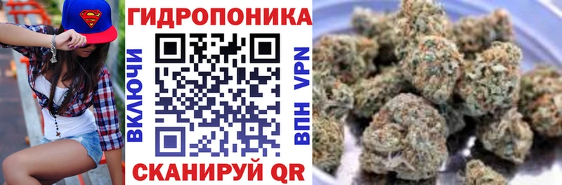 МАРИХУАНА OG Kush  Купить закладки  Глазов 